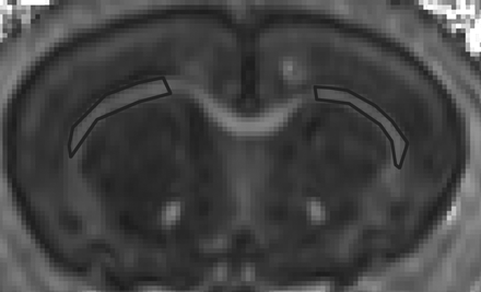 Fig 1.