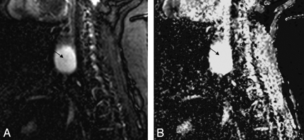 Fig 1.