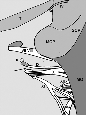 Fig 1.