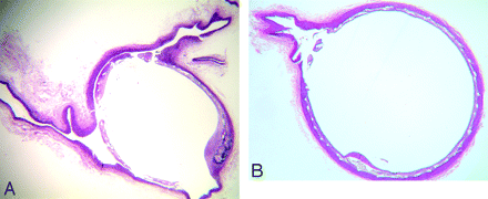 Fig 3.
