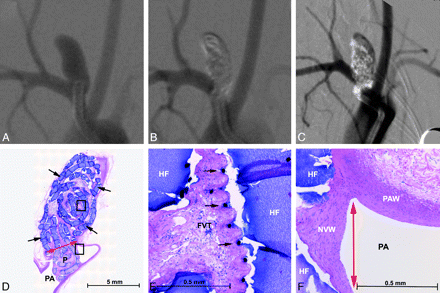 Fig 3.