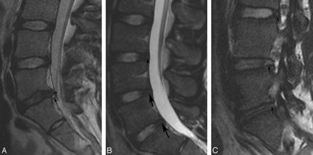 Fig 1.