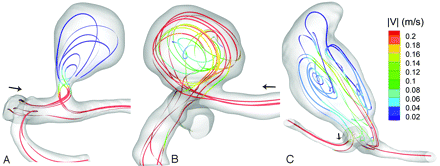 Fig 2.