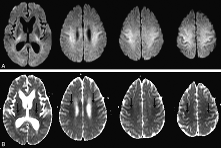Fig 1.