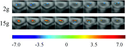 Fig 3.