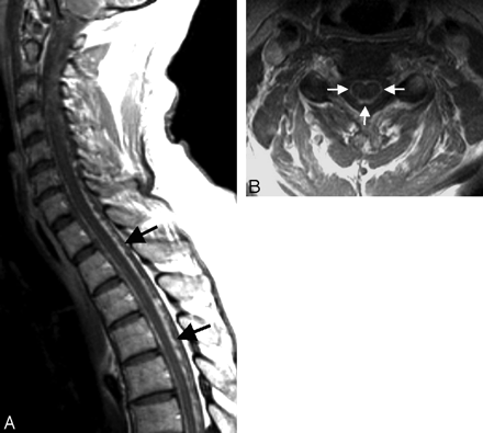 Fig 8.