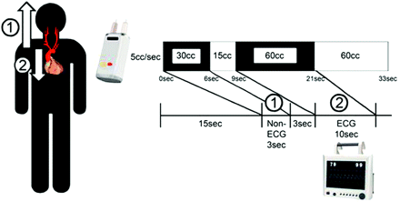 Fig 1.