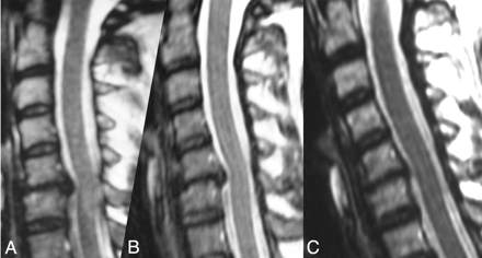 Fig 2.
