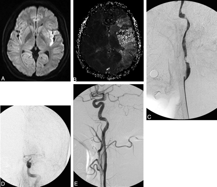 Fig 1.