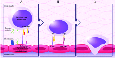 Fig 1.
