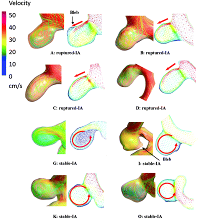 Fig 2.