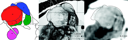 Fig 4.