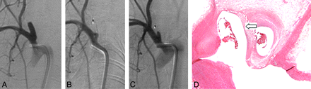 Fig 3.