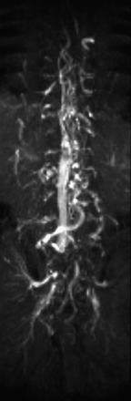 Fig 1.
