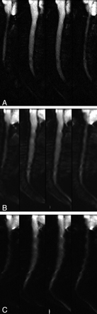 Fig 2.