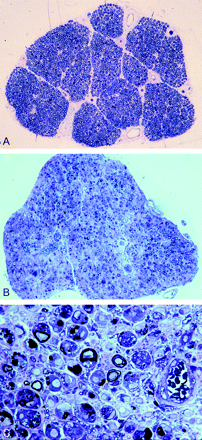 Fig 1.