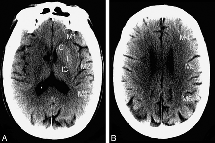 Fig 1.