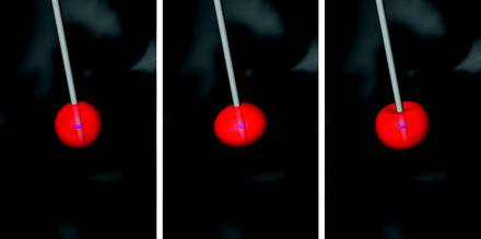 Fig 3.