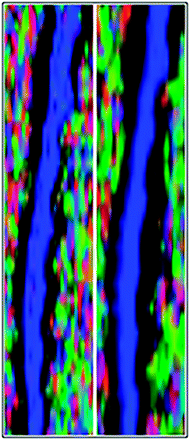 Fig 6.