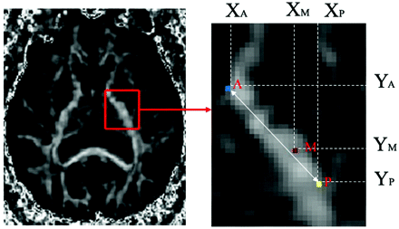 Fig 2.