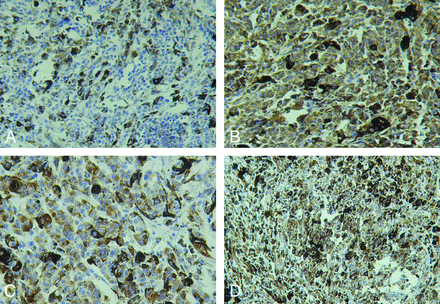 Fig 3.