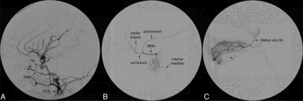 Fig 1.