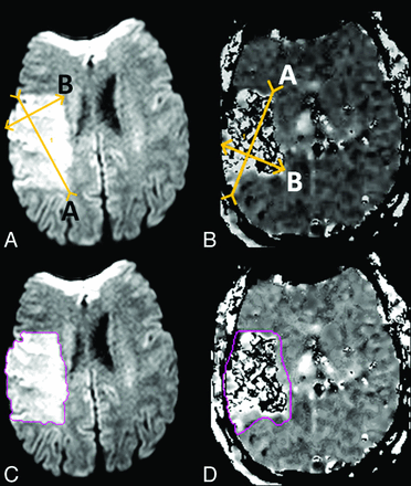 Fig 1.