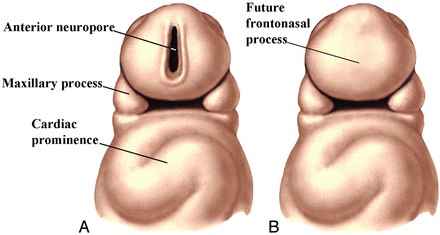 Fig 3.