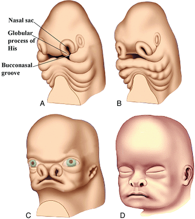 Fig 4.