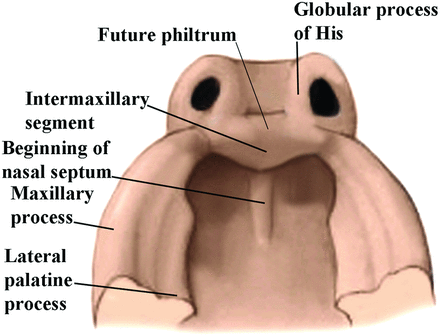 Fig 6.