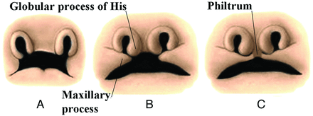 Fig 9.