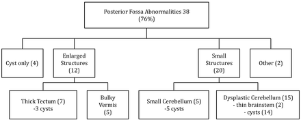 Fig 1.