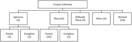 Fig 3.