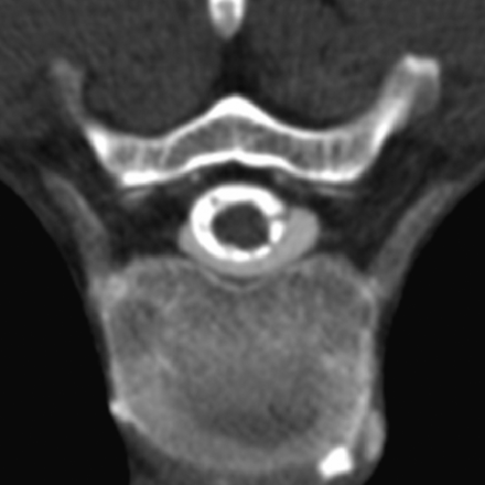 Fig 4.