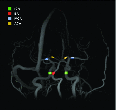 Fig 2.
