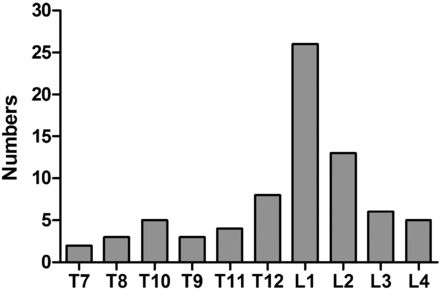 Fig 1.