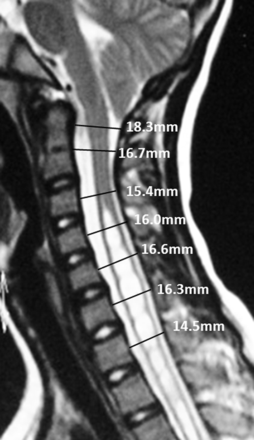 Fig 1.