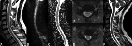 Fig 1.