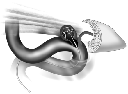 Fig 1.
