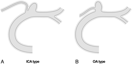 Fig 1.