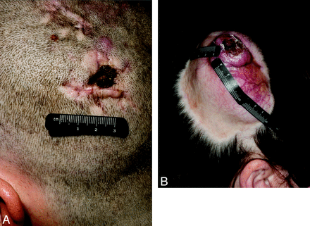 Fig 3.