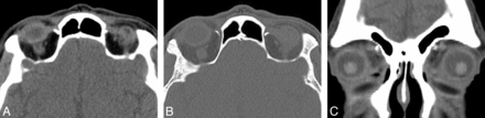 Fig 1.