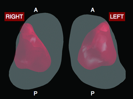 Fig 2.