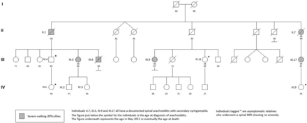 Fig 1.