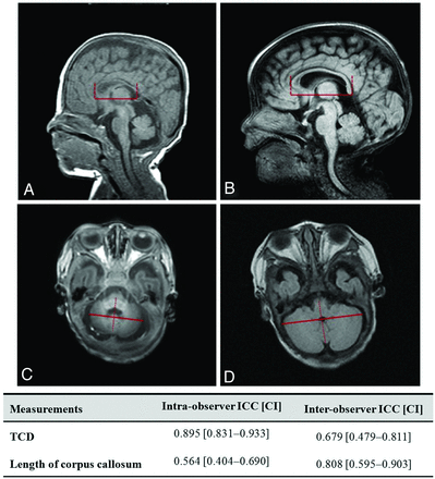Fig 1.