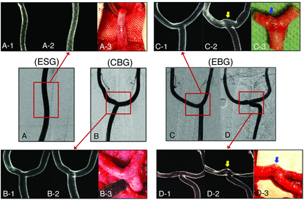 Fig 1.