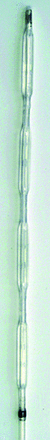 Fig 6.