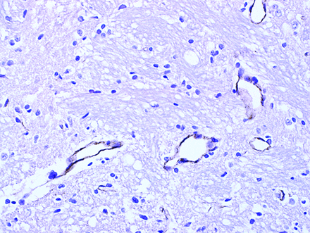 Fig 6.