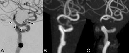 Fig 1.