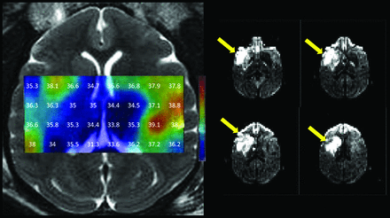 Fig 8.